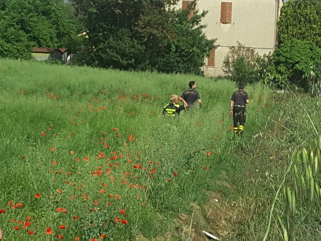 Le ricerche nella campagna lungo via Calabria