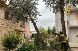 L'intervento dei Vigili del Fuoco a Senigallia, in via Sanzio, dove un albero è crollato su una casa per il maltempo