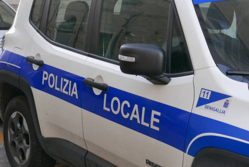 Vende alcolici a un minorenne, sanzionata la cassiera di un supermercato di Senigallia