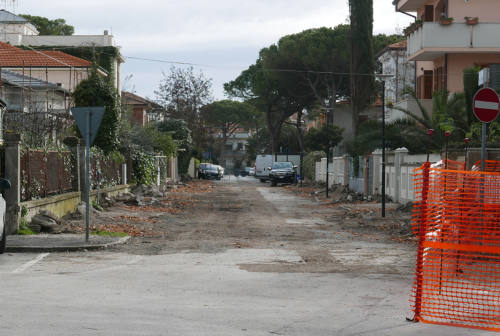 Senigallia e il verde: abbattimenti, potature ed «emozionanti piantumazioni»