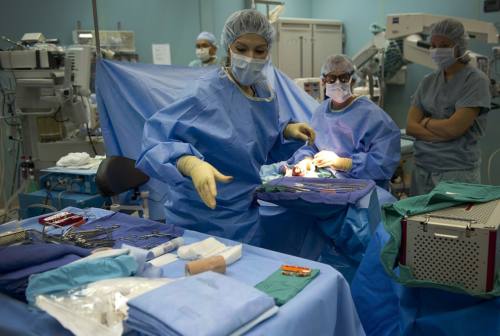 Azienda Ospedaliero Universitaria delle Marche: 762 trapianti di fegato negli ultimi anni
