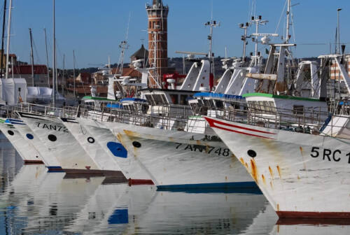 Civitanova, “Mare e laghi sicuri”: oltre 1.300 i controlli, 22 i provvedimenti emessi