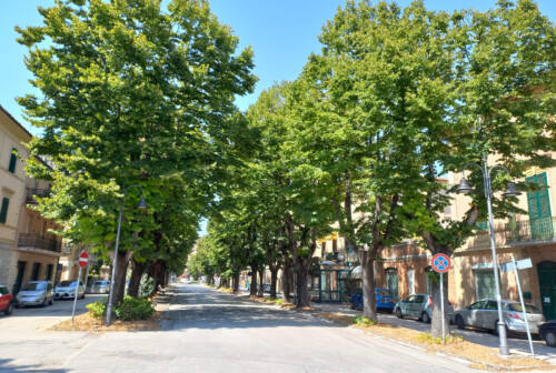 Jesi, restyling degli attraversamenti pedonali in viale Trieste
