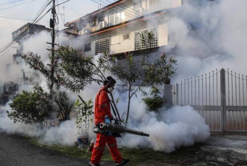 Sospetto caso di Dengue a Roccafluvione, il paese piceno in allarme