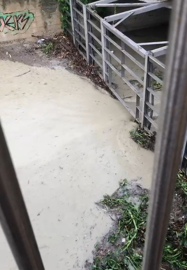 La situazione del fosso Sant’Angelo, zona Ponterosso di Senigallia, dopo la pulizia delle griglie protettive dai detriti portati dalla pioggia, 21 maggio 2024