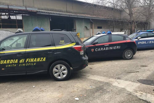 Controlli tra Pesaro, Fano, Urbino e Vallefoglia: 8 gli stranieri espulsi, 5 gli arresti per droga