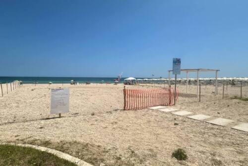 Civitanova, sulla spiaggia libera pronte le aree attrezzate per cani. Domenica si inaugura