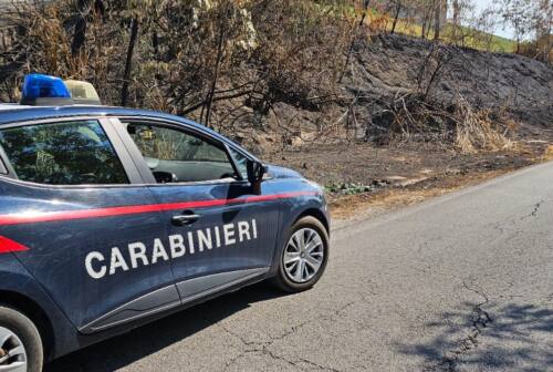 Incendi a Mogliano, arrestato il piromane: è un 30enne di un comune vicino