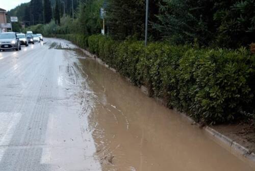 Pesaro, appartamenti allagati e fango sulla statale: gli interventi per il maltempo