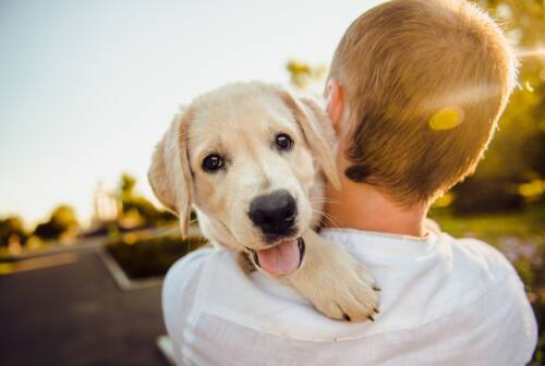 Il legame tra cane ed essere umano: perché è così speciale?