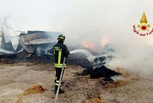 Ferragosto tra incendi e incidenti stradali: 60 gli interventi dei vigili del fuoco nelle Marche