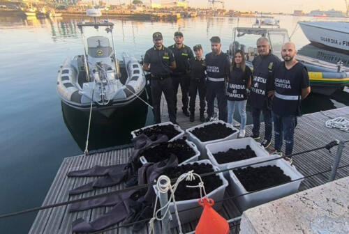 Ancona, sequestrati oltre oltre 9.000 esemplari di ricci di mare pescati illegalmente