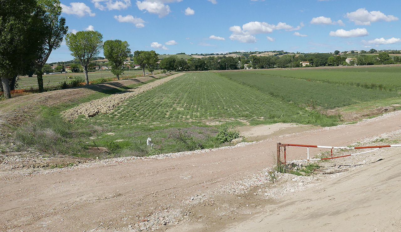 La vasca di espansione tra Bettolelle e Brugnetto di Senigallia