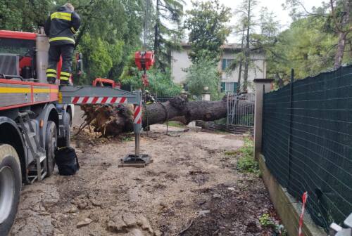 Maltempo, il sindaco di Pesaro fa la conta dei danni: «Una stima di 300mila euro»