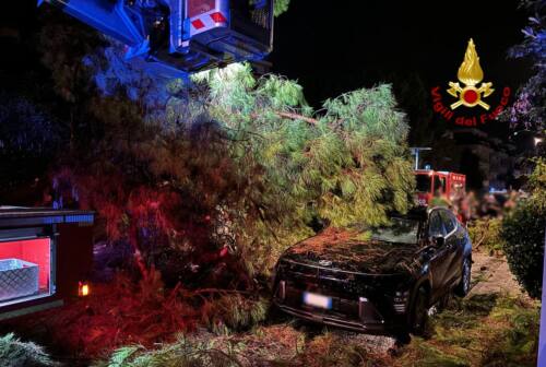 Maltempo, allagamenti e alberi caduti a San Benedetto e Grottammare