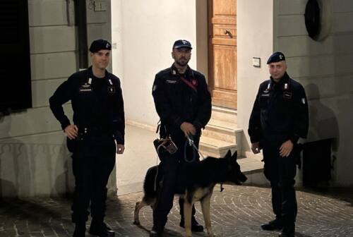 Arcevia: cani antidroga alla festa dell’uva, tre segnalazioni per uso di sostanze stupefacenti