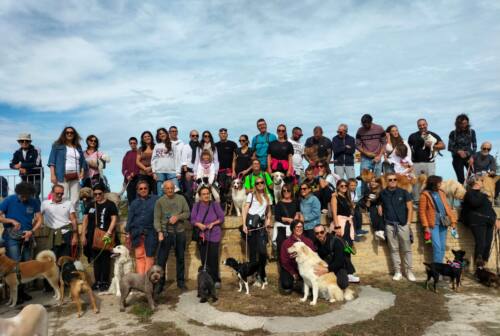 Ancona, il Cardeto invaso da cani: oltre cento per la prima passeggiata (benefica) a sei zampe – FOTO