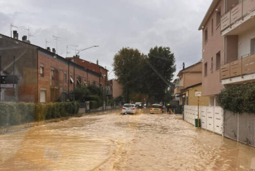 Maltempo nelle Marche, danni alle aziende e all’agricoltura. Gli imprenditori chiedono prevenzione e manutenzione