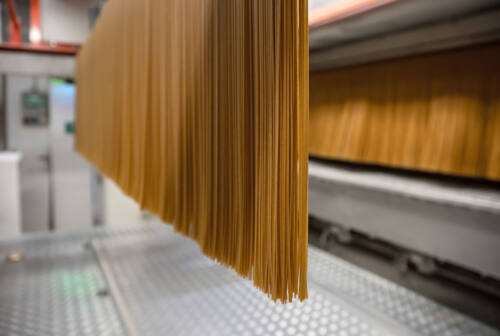 Girolomoni miglior produttore di pasta bio d’Europa, Coldiretti: «Un vanto per le Marche»