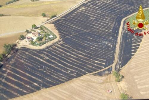 Recanati, a fuoco terreno agricolo: bruciati 10 ettari