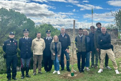 La Coppa Faro pianta un gelso a Casteldimezzo, la prima di 100 piantumazioni