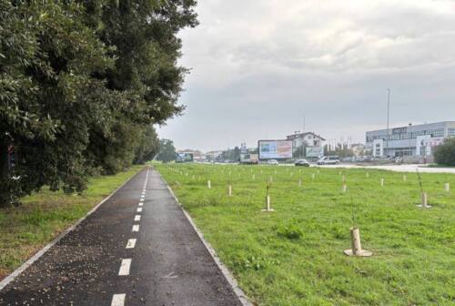 Jesi, crescono i “polmoni verdi” in città. Al via i lavori di forestazione