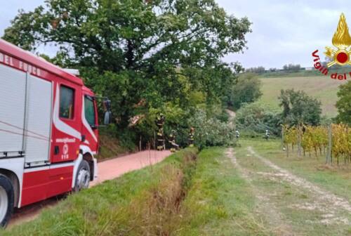 Maltempo Marche, alberi caduti e sottopassi chiusi nell’Anconetano