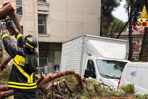 Maltempo, albero cade nell’area ospedaliera di Senigallia