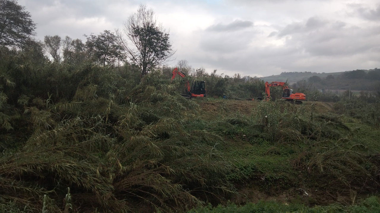 Torrente Aspio, pulitura