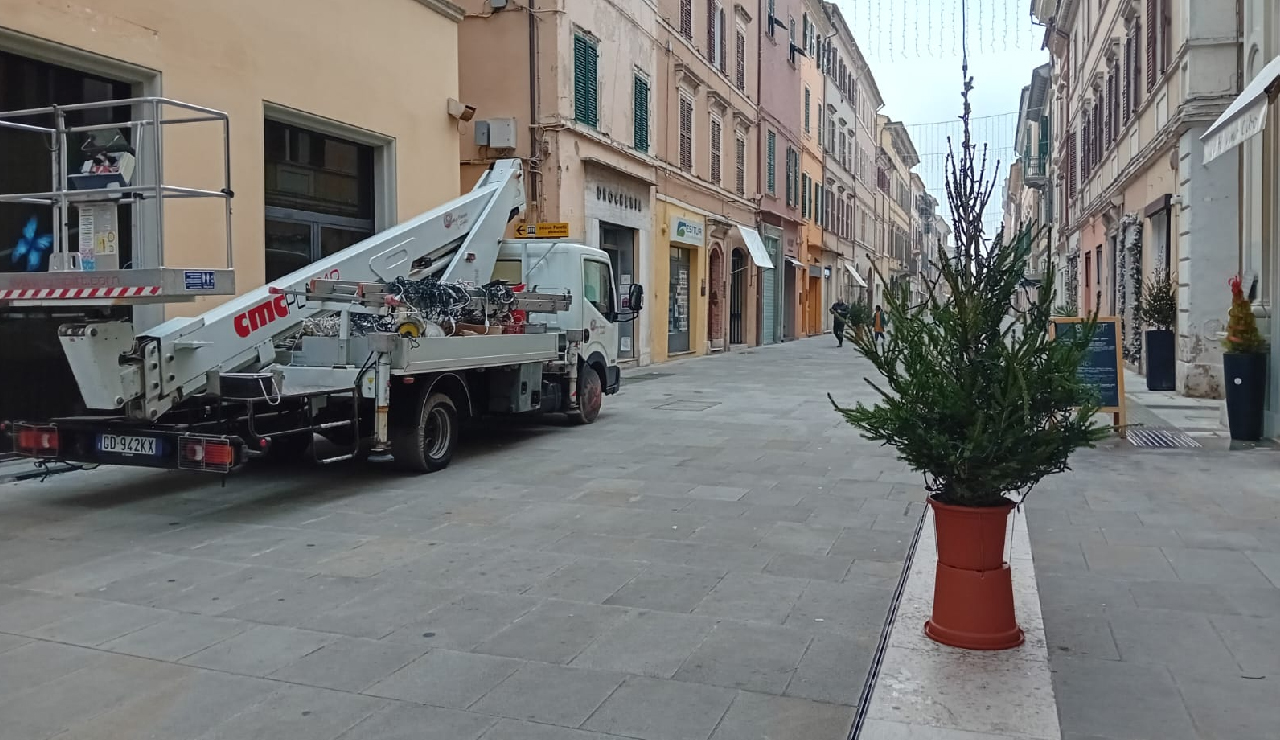 Gli alberi allestiti dai commercianti in Corso Matteotti