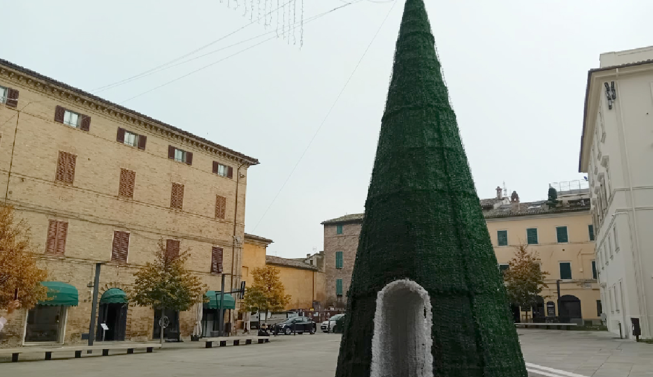 L'albero di piazza Pergolesi