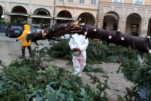 San Severino Marche, danni del vento: ne fa le spese anche l’albero di Natale di piazza del Popolo