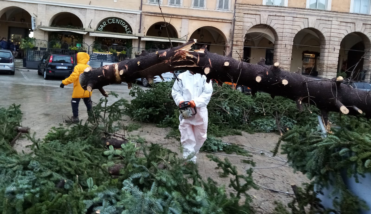 San Severino Marche, danni del vento: ne fa le spese anche l'albero di Natale di piazza del Popolo