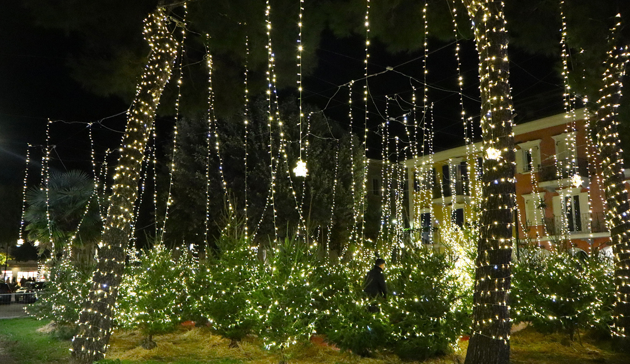 Porto Recanati, Natale magico e sostenibile con il bosco luminoso