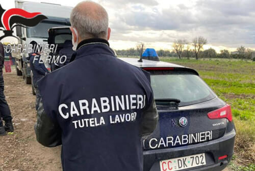 Fermo, aziende agricole e immigrazione clandestina: tre denunce tra Montefiore dell’Aso e Grottazzolina