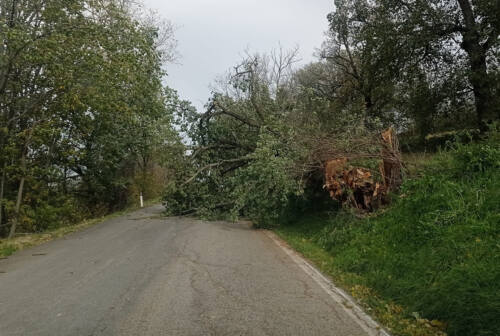 Maltempo nel Maceratese: riaperte al traffico le strade provinciali