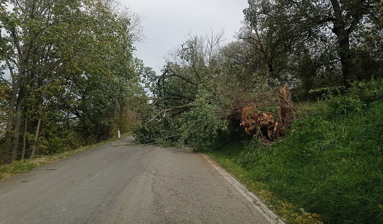 maltempo nel territorio di Macerata. La Sp 55 (Foto: Provincia di Macerata)