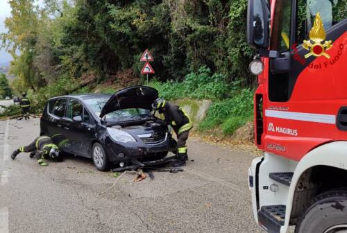 Montegiorgio: per il maltempo albero cade su auto in transito