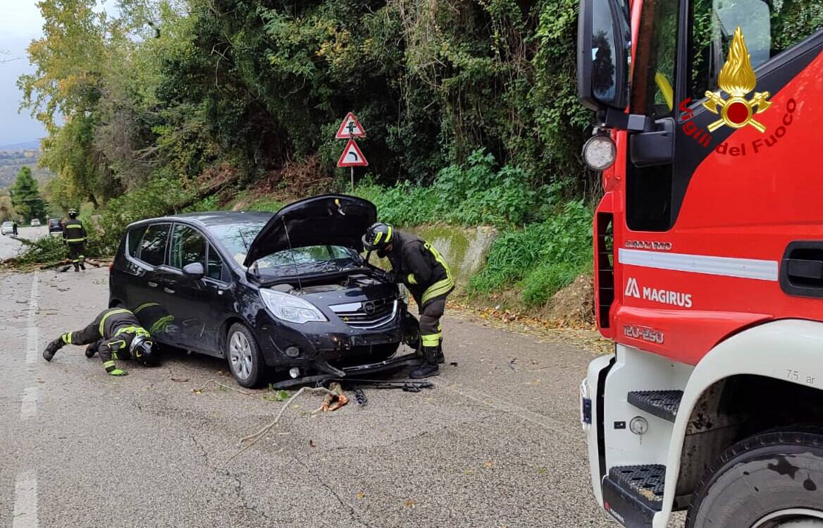 L'albero caduto sull'auto a Montegiorgio