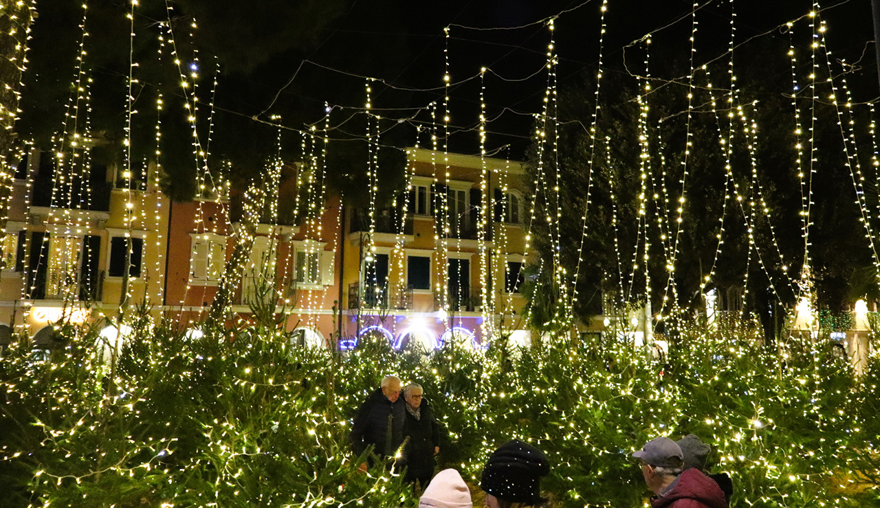 Porto Recanati, Natale magico e sostenibile con il bosco luminoso