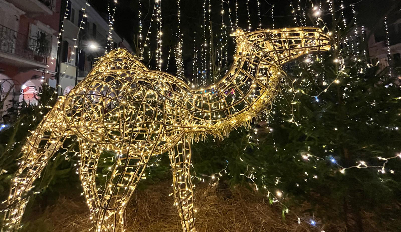 Porto Recanati, Natale magico e sostenibile con il bosco luminoso