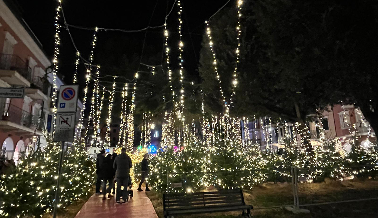 Porto Recanati, Natale magico e sostenibile con il bosco luminoso