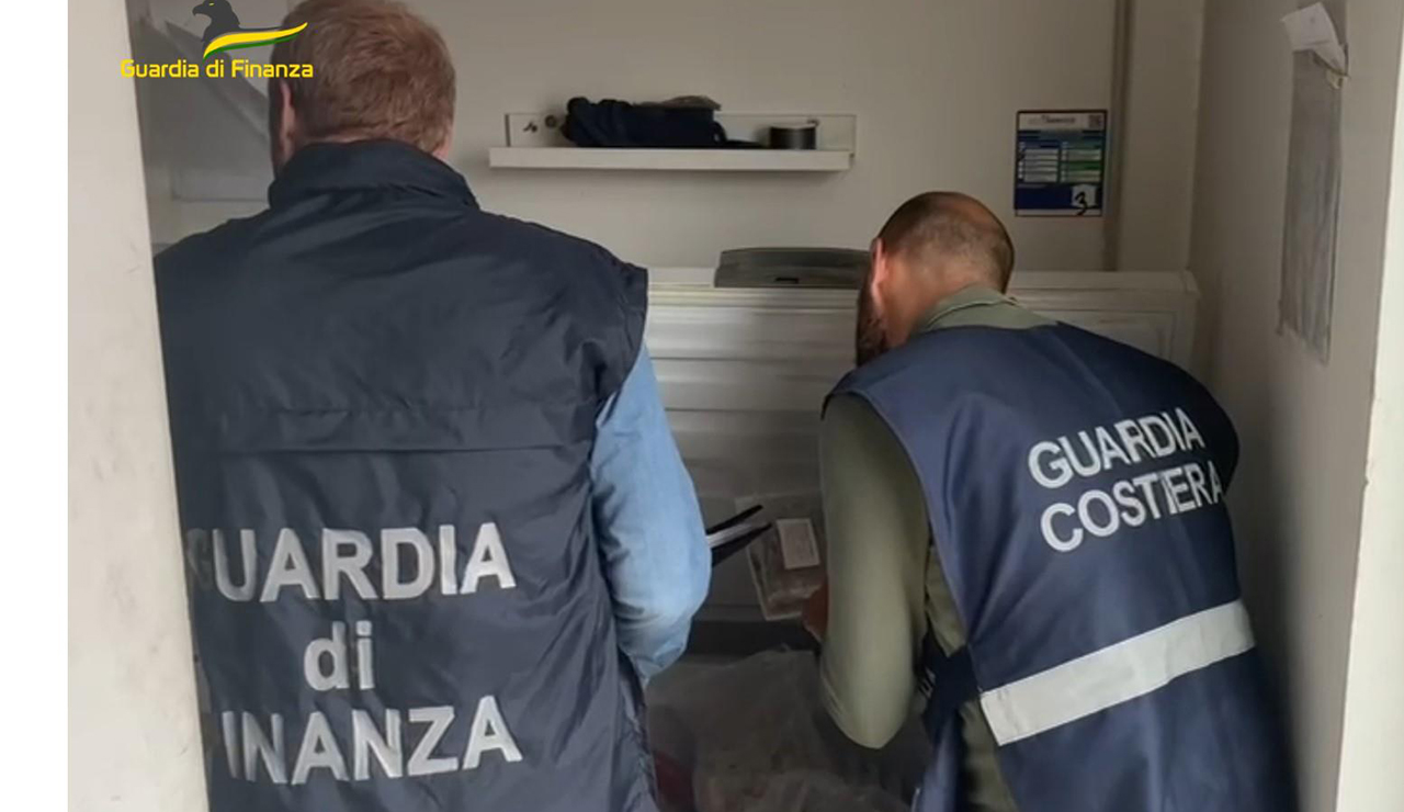 Marche, controlli di Finanza e Guardia Costiera: tra Ancona, San Benedetto del Tronto e Pesaro Urbino sequestrati due quintali di prodotti ittici 