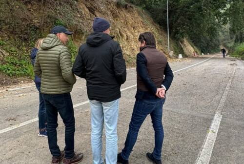 Strada di San Bartolo, il Comune di Pesaro è pronto a intervenire sugli alberi pericolanti