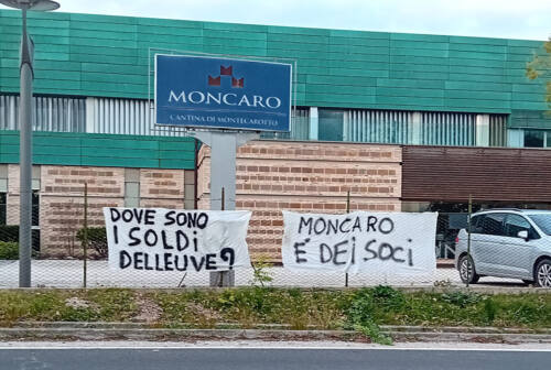 Crisi Moncaro, i dipendenti Moderna: «A rischio famiglie, vigneti, vino»