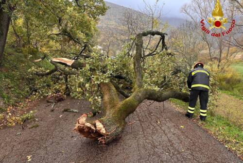 Macerata, chiusi parchi e cimiteri a causa del forte vento