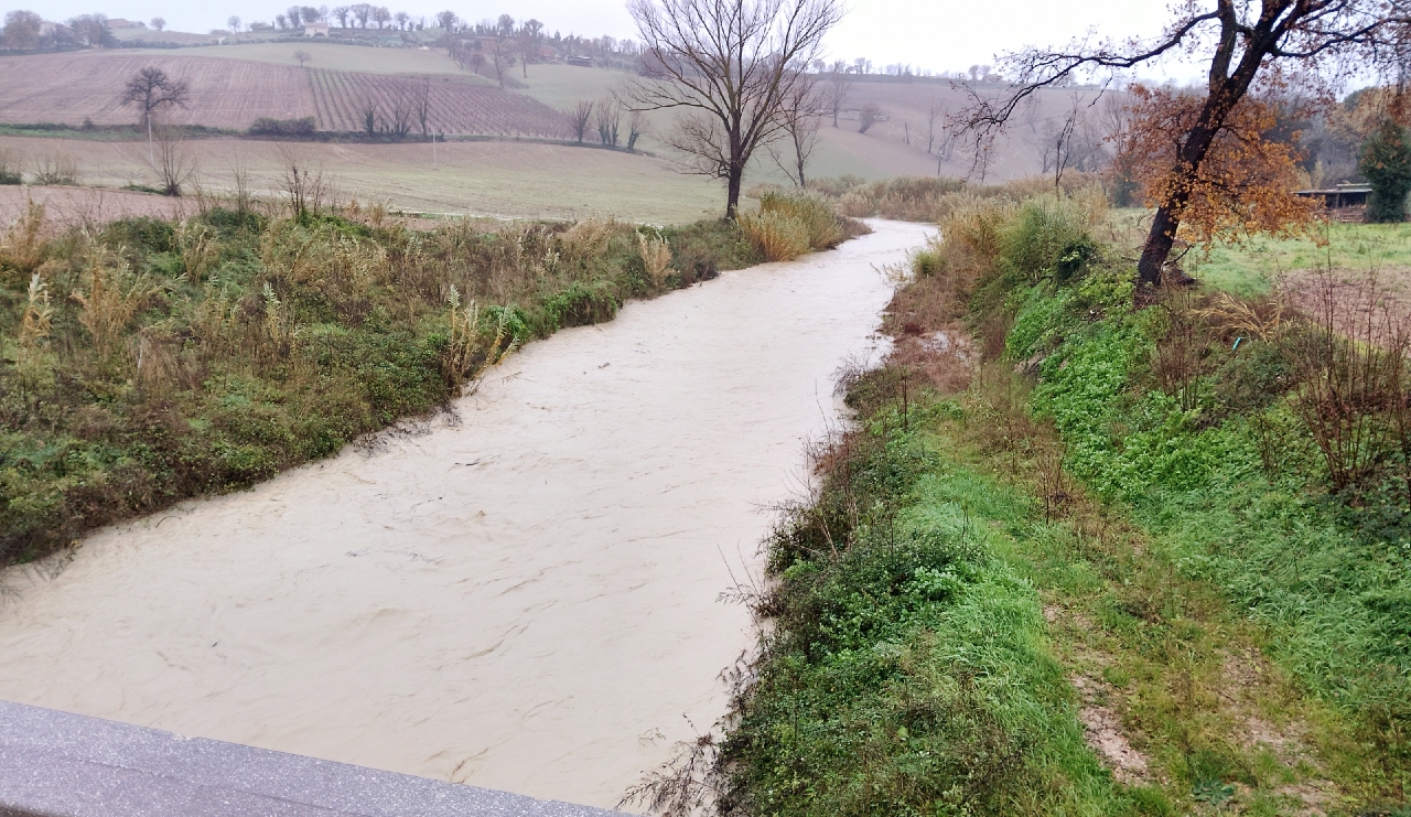 Il fiume Nevola a Corinaldo (ore9:47 del 23 dicembre 2024)