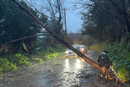 Ancona sferzata dal vento a 100 km/ora e dalla pioggia, strade bloccate dagli alberi caduti