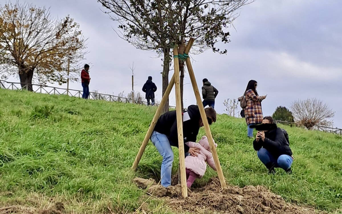 Ventisei nuove piante al parco della Solidarietà di Moie (Foto: Comune di Maiolati)