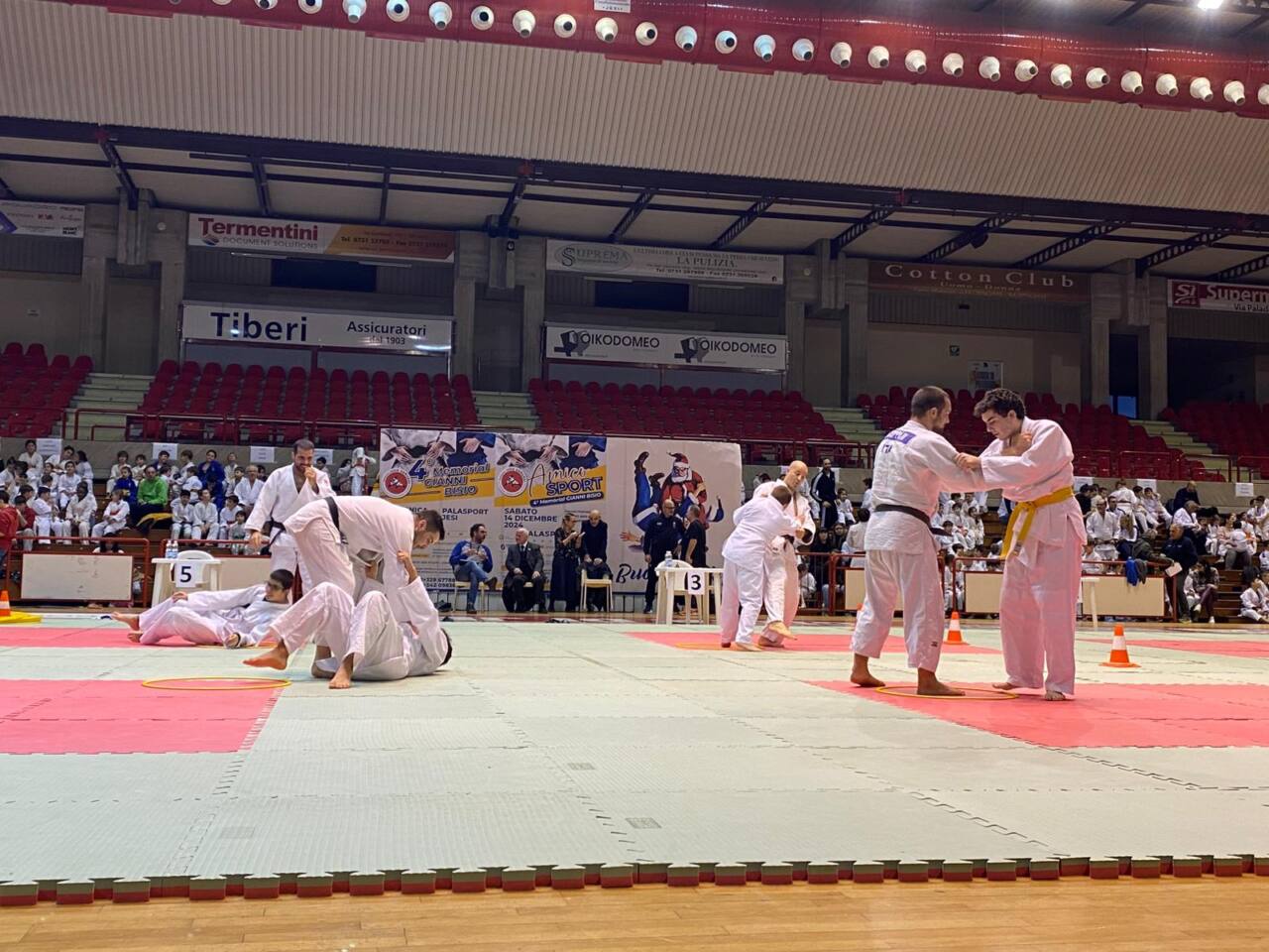 Judo, Jesi